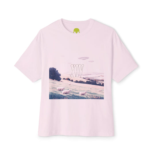 UFOs Over Pastoral Landscape | Carbon XIV Art